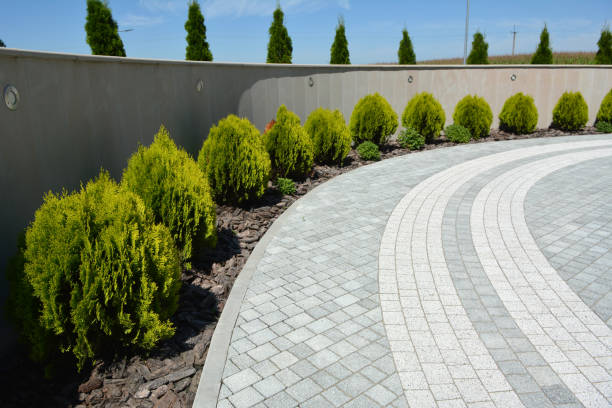 Best Interlocking Driveway Pavers  in Bridgeville, DE